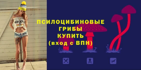 дмт Алексеевка
