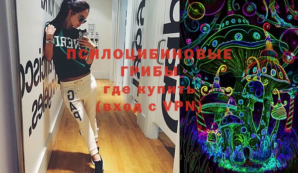 крисы Михайловск