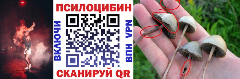 Галлюциногенные грибы Psilocybine cubensis  Мичуринск 